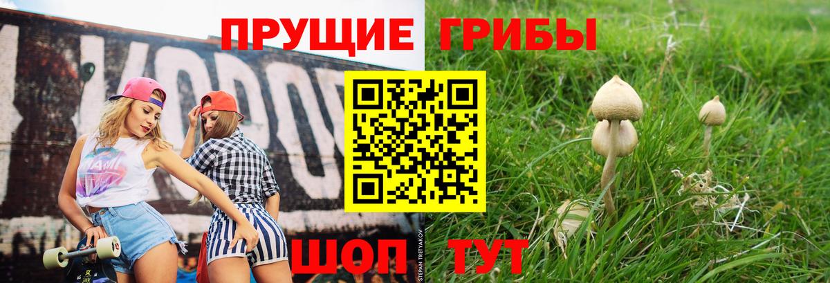 Псилоцибиновые грибы GOLDEN TEACHER  Вход с VPN  Черкесск  где найти наркотики  Галлюциногенные грибы прущие грибы 
